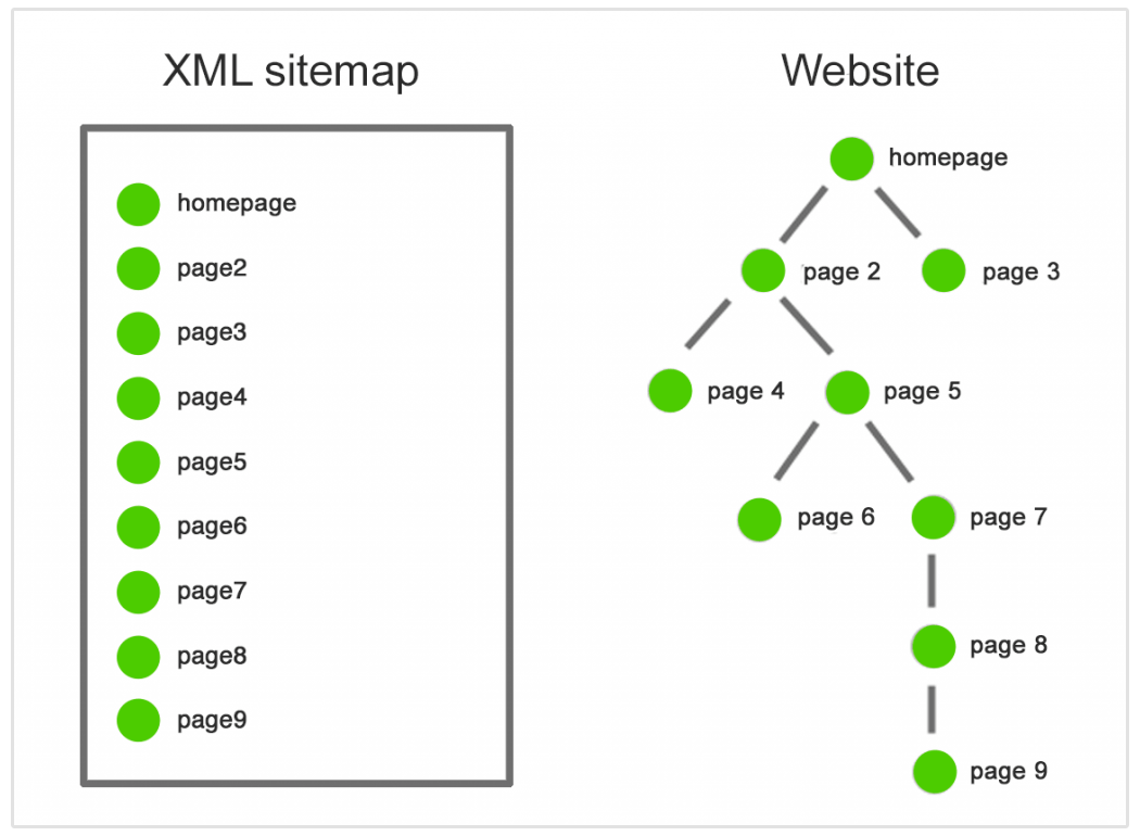 estructura del sitio web